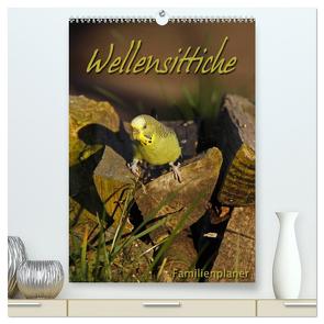 Wellensittiche (hochwertiger Premium Wandkalender 2024 DIN A2 hoch), Kunstdruck in Hochglanz von Berg,  Martina