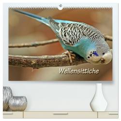 Wellensittiche (hochwertiger Premium Wandkalender 2024 DIN A2 quer), Kunstdruck in Hochglanz von Mielewczyk,  Barbara