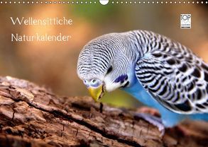 Wellensittiche – Naturkalender (Wandkalender 2019 DIN A3 quer) von Bergmann,  Björn
