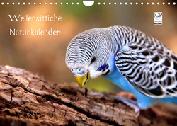 Wellensittiche – Naturkalender (Wandkalender 2023 DIN A4 quer) von Bergmann,  Björn