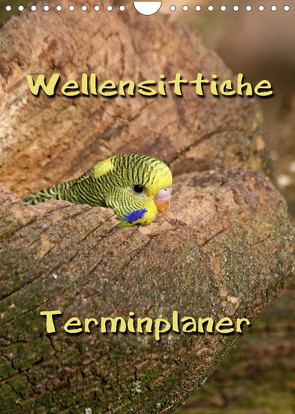 Wellensittiche Terminplaner (Wandkalender 2023 DIN A4 hoch) von Berg,  Martina