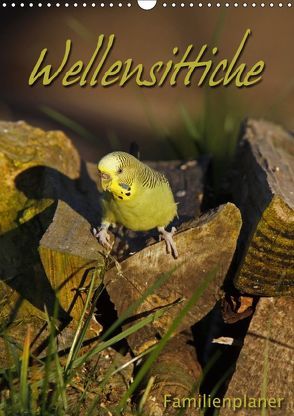 Wellensittiche (Wandkalender 2019 DIN A3 hoch) von Berg,  Martina