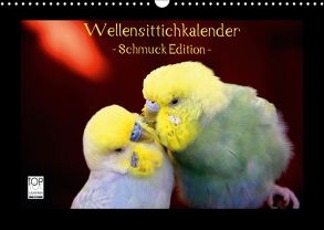 Wellensittichkalender – Schmuck Edition (Wandkalender 2018 DIN A3 quer) von Bergmann,  Björn