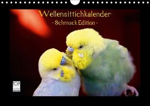 Wellensittichkalender – Schmuck Edition (Wandkalender 2018 DIN A4 quer) von Bergmann,  Björn