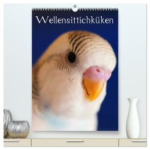 Wellensittichküken (hochwertiger Premium Wandkalender 2024 DIN A2 hoch), Kunstdruck in Hochglanz von Bergmann,  Björn