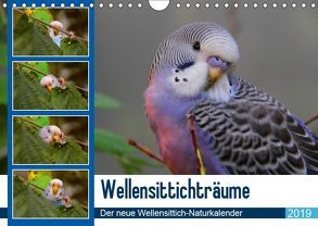 Wellensittichträume – Der neue Wellensittich-Naturkalender (Wandkalender 2019 DIN A4 quer) von Bergmann,  Björn