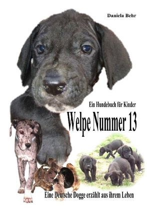 Welpe Nummer 13  Ein Hundekind erzählt aus seinem Leben Die Geschichte einer Deutschen Dogge von Behr,  Daniela