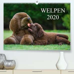 Welpen 2020 (Premium, hochwertiger DIN A2 Wandkalender 2020, Kunstdruck in Hochglanz) von Starick,  Sigrid