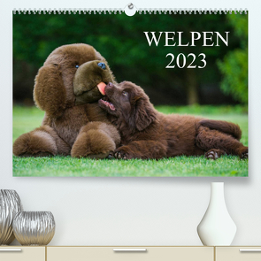 Welpen 2023 (Premium, hochwertiger DIN A2 Wandkalender 2023, Kunstdruck in Hochglanz) von Starick,  Sigrid