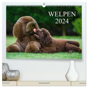 Welpen 2024 (hochwertiger Premium Wandkalender 2024 DIN A2 quer), Kunstdruck in Hochglanz von Starick,  Sigrid