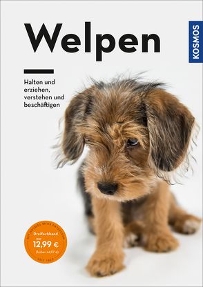 Welpen von Kristina,  Falke, , Lübbe-Scheuermann,  Perdita, Schöning,  Dr. Barbara