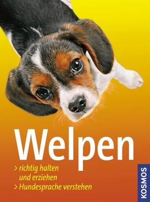 Welpen von Loup,  Frauke, Lübbe,  Perdita, Schöning,  Barbara