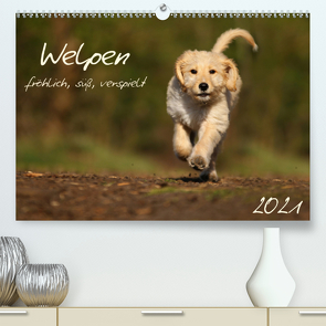 Welpen – fröhlich, süß, verspielt (Premium, hochwertiger DIN A2 Wandkalender 2021, Kunstdruck in Hochglanz) von Blankenhaus,  Katharina