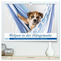 Welpen in der Hängematte (hochwertiger Premium Wandkalender 2024 DIN A2 quer), Kunstdruck in Hochglanz von Verena Scholze,  Fotodesign