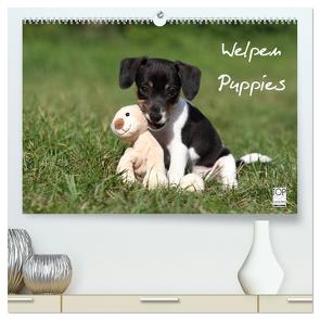Welpen – Puppies (hochwertiger Premium Wandkalender 2024 DIN A2 quer), Kunstdruck in Hochglanz von Hutfluss,  Jeanette