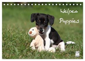 Welpen – Puppies (Tischkalender 2024 DIN A5 quer), CALVENDO Monatskalender von Hutfluss,  Jeanette