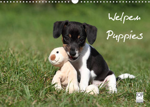 Welpen – Puppies (Wandkalender 2023 DIN A3 quer) von Hutfluss,  Jeanette