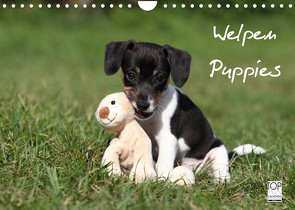 Welpen – Puppies (Wandkalender 2023 DIN A4 quer) von Hutfluss,  Jeanette