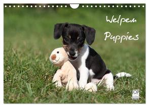 Welpen – Puppies (Wandkalender 2024 DIN A4 quer), CALVENDO Monatskalender von Hutfluss,  Jeanette