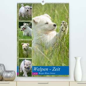 Welpen Zeit – Berger Blanc Suisse (Premium, hochwertiger DIN A2 Wandkalender 2020, Kunstdruck in Hochglanz) von Riedel,  Tanja