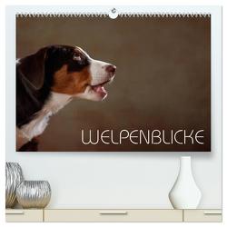 Welpenblicke (hochwertiger Premium Wandkalender 2024 DIN A2 quer), Kunstdruck in Hochglanz von Behr,  Jana