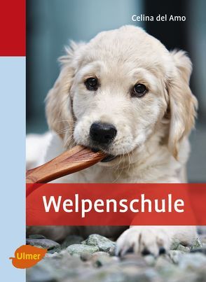 Welpenschule von Amo,  Celina del