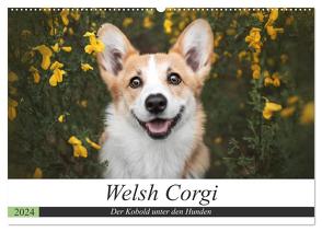 Welsh Corgi – Der Kobold unter den Hunden (Wandkalender 2024 DIN A2 quer), CALVENDO Monatskalender von Ahrens,  Maria