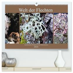 Welt der Flechten (hochwertiger Premium Wandkalender 2024 DIN A2 quer), Kunstdruck in Hochglanz von Weis,  Stefan