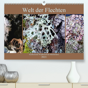 Welt der Flechten (Premium, hochwertiger DIN A2 Wandkalender 2021, Kunstdruck in Hochglanz) von Weis,  Stefan