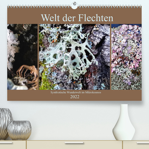Welt der Flechten (Premium, hochwertiger DIN A2 Wandkalender 2022, Kunstdruck in Hochglanz) von Weis,  Stefan