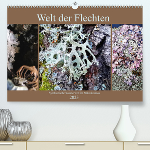Welt der Flechten (Premium, hochwertiger DIN A2 Wandkalender 2023, Kunstdruck in Hochglanz) von Weis,  Stefan