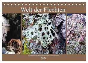 Welt der Flechten (Tischkalender 2024 DIN A5 quer), CALVENDO Monatskalender von Weis,  Stefan