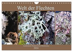 Welt der Flechten (Wandkalender 2024 DIN A4 quer), CALVENDO Monatskalender von Weis,  Stefan
