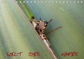 Welt der Käfer (Tischkalender 2018 DIN A5 quer) von hinter-dem-horizont-media.net, Kiesow,  Bernhard, Kiesow,  Tanja