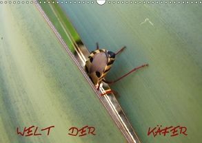 Welt der Käfer (Wandkalender 2018 DIN A3 quer) von hinter-dem-horizont-media.net, Kiesow,  Bernhard, Kiesow,  Tanja