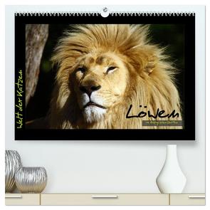 Welt der Katzen – Löwen (hochwertiger Premium Wandkalender 2024 DIN A2 quer), Kunstdruck in Hochglanz von Skupin,  Marcus