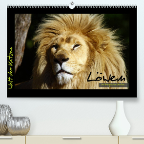 Welt der Katzen – Löwen (Premium, hochwertiger DIN A2 Wandkalender 2023, Kunstdruck in Hochglanz) von Skupin,  Marcus