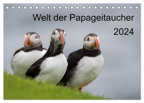 Welt der Papageitaucher (Tischkalender 2024 DIN A5 quer), CALVENDO Monatskalender von Utelli,  Anna-Barbara