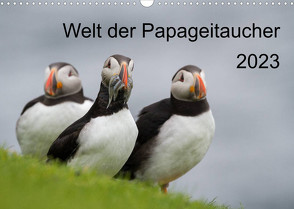 Welt der Papageitaucher (Wandkalender 2023 DIN A3 quer) von Utelli,  Anna-Barbara