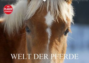 Welt der Pferde (Wandkalender 2019 DIN A2 quer) von Starick,  Sigrid