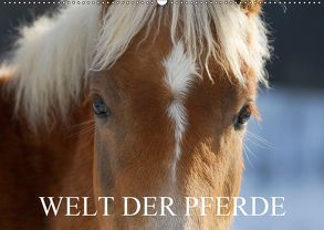 Welt der Pferde (Wandkalender 2019 DIN A2 quer) von Starick,  Sigrid