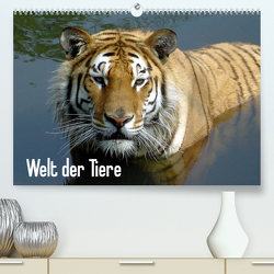 Welt der Tiere (Premium, hochwertiger DIN A2 Wandkalender 2023, Kunstdruck in Hochglanz) von Riedel,  Tanja