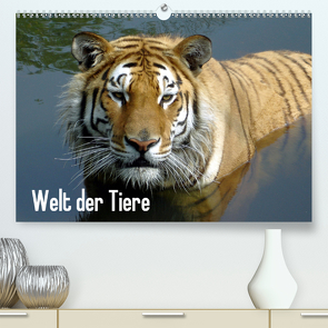 Welt der Tiere (Premium, hochwertiger DIN A2 Wandkalender 2020, Kunstdruck in Hochglanz) von Riedel,  Tanja