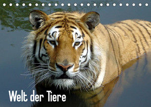 Welt der Tiere (Tischkalender 2023 DIN A5 quer) von Riedel,  Tanja