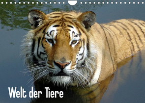 Welt der Tiere (Wandkalender 2023 DIN A4 quer) von Riedel,  Tanja