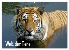 Welt der Tiere (Wandkalender 2024 DIN A2 quer), CALVENDO Monatskalender von Riedel,  Tanja