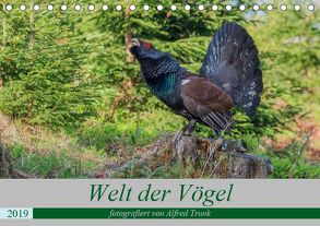 Welt der Vögel (Tischkalender 2019 DIN A5 quer) von Trunk,  Alfred