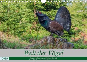 Welt der Vögel (Wandkalender 2019 DIN A4 quer) von Trunk,  Alfred