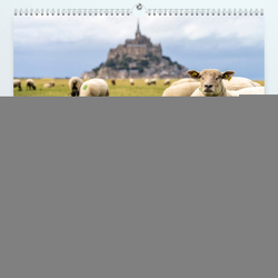 Welterbe Mont-Saint-Michel (Premium, hochwertiger DIN A2 Wandkalender 2023, Kunstdruck in Hochglanz) von Schickert,  Peter