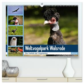 Weltvogelpark Walsrode – Die Vielfalt der Vogelarten (hochwertiger Premium Wandkalender 2024 DIN A2 quer), Kunstdruck in Hochglanz von Gayde Quelle: Weltvogelpark Walsrode,  Frank